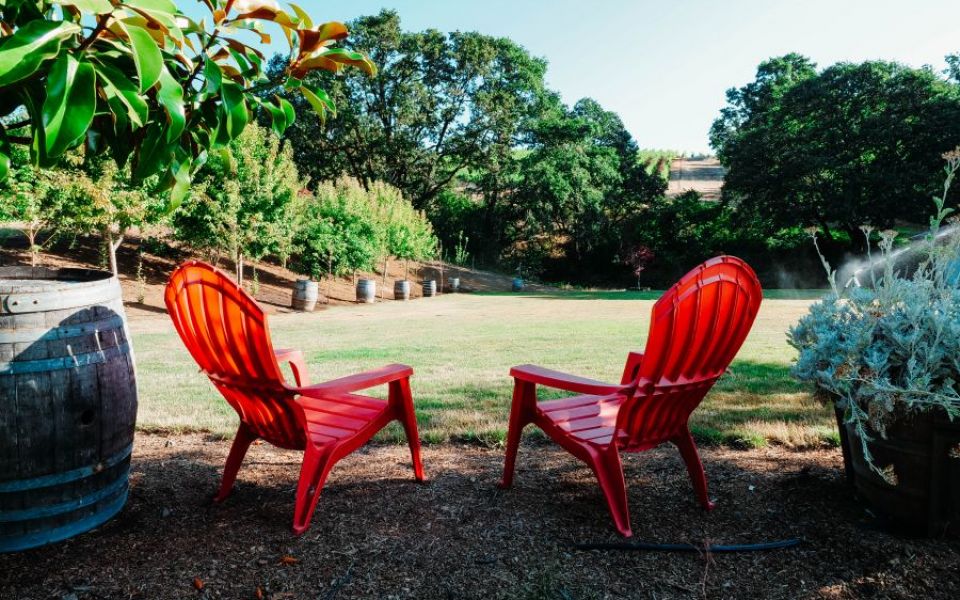 Red Adirondack chairs are available to sit back, relax, and take in the vineyard views