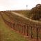 Post Harvest November 2011