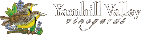 Yamhill Valley Vineyards